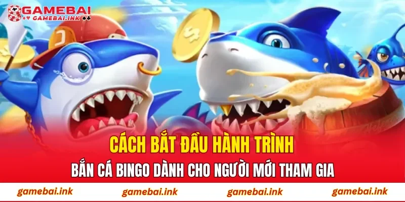 Bắn Cá Bingo – Khám Phá Sân Chơi Đổi Thưởng Hot Hiện Nay 3 Cách bắt đầu hành trình Bắn Cá Bingo dành cho người mới tham gia